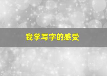 我学写字的感受