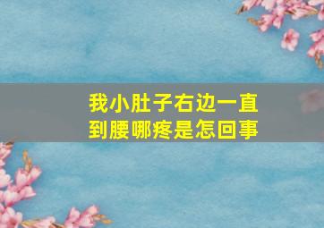 我小肚子右边一直到腰哪疼是怎回事