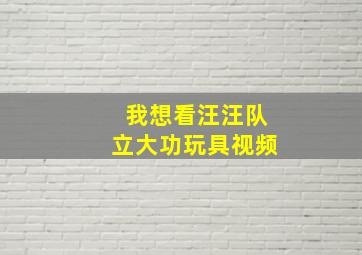 我想看汪汪队立大功玩具视频