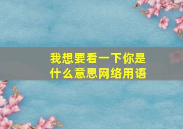 我想要看一下你是什么意思网络用语