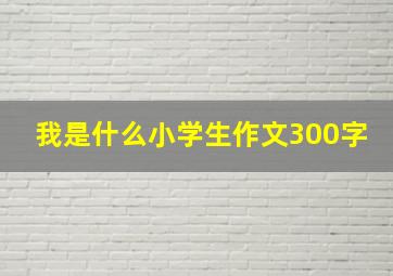 我是什么小学生作文300字