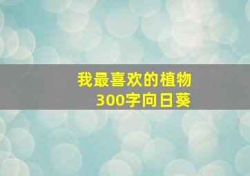 我最喜欢的植物300字向日葵