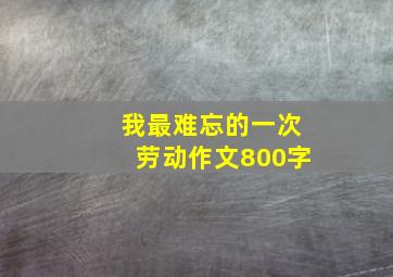 我最难忘的一次劳动作文800字