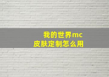 我的世界mc皮肤定制怎么用