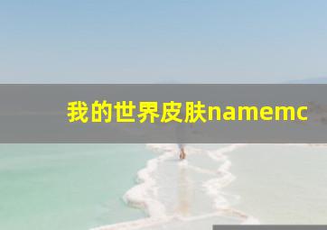 我的世界皮肤namemc