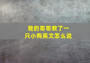 我的哥哥救了一只小狗英文怎么说