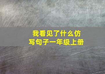 我看见了什么仿写句子一年级上册