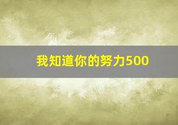 我知道你的努力500