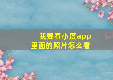 我要看小度app里面的照片怎么看