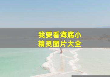 我要看海底小精灵图片大全