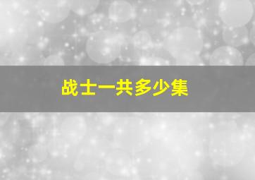 战士一共多少集