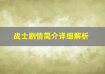 战士剧情简介详细解析