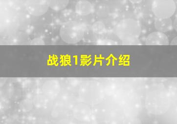 战狼1影片介绍