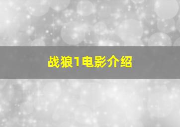 战狼1电影介绍