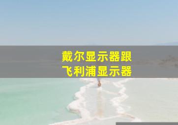 戴尔显示器跟飞利浦显示器