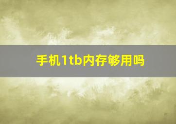 手机1tb内存够用吗