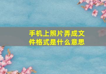 手机上照片弄成文件格式是什么意思