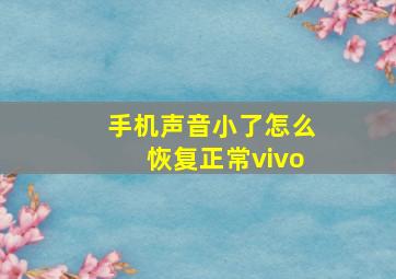 手机声音小了怎么恢复正常vivo