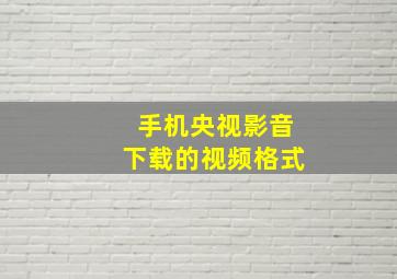 手机央视影音下载的视频格式