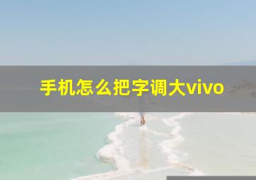 手机怎么把字调大vivo