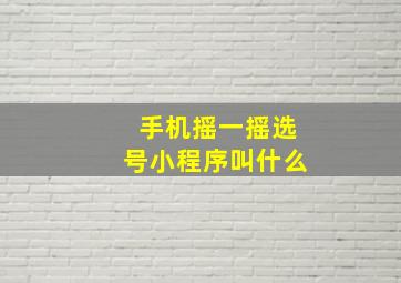 手机摇一摇选号小程序叫什么