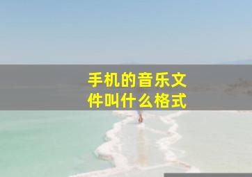 手机的音乐文件叫什么格式