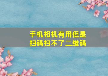 手机相机有用但是扫码扫不了二维码