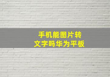 手机能图片转文字吗华为平板