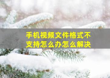 手机视频文件格式不支持怎么办怎么解决