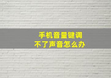 手机音量键调不了声音怎么办