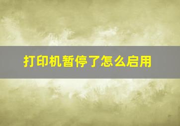 打印机暂停了怎么启用