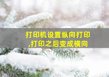 打印机设置纵向打印,打印之后变成横向