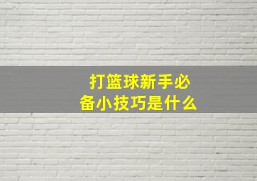 打篮球新手必备小技巧是什么