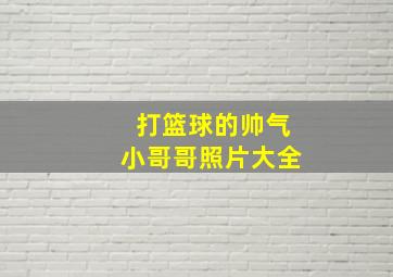 打篮球的帅气小哥哥照片大全