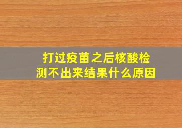 打过疫苗之后核酸检测不出来结果什么原因