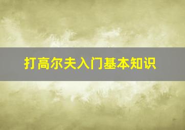 打高尔夫入门基本知识