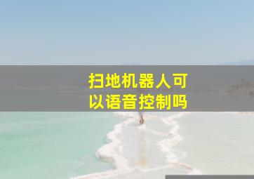 扫地机器人可以语音控制吗