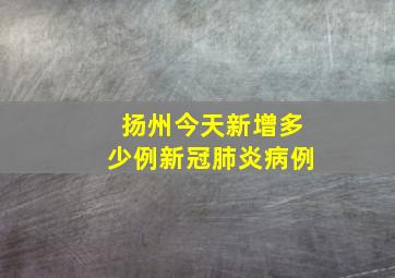 扬州今天新增多少例新冠肺炎病例