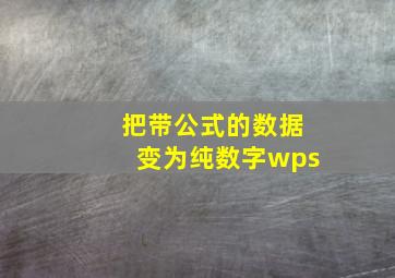 把带公式的数据变为纯数字wps