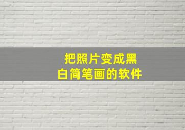 把照片变成黑白简笔画的软件