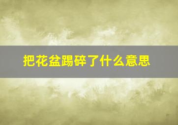 把花盆踢碎了什么意思