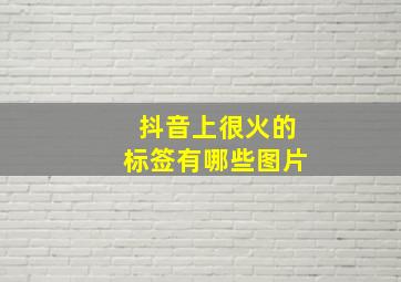 抖音上很火的标签有哪些图片