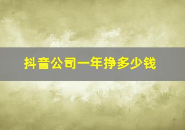 抖音公司一年挣多少钱