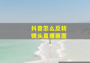 抖音怎么反转镜头直播画面