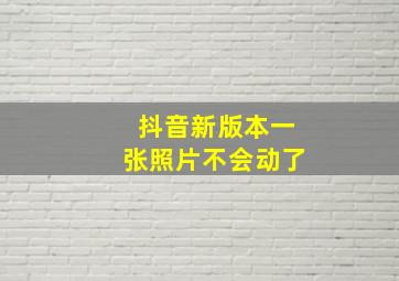 抖音新版本一张照片不会动了