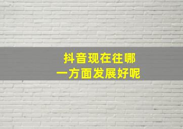 抖音现在往哪一方面发展好呢