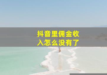 抖音里佣金收入怎么没有了