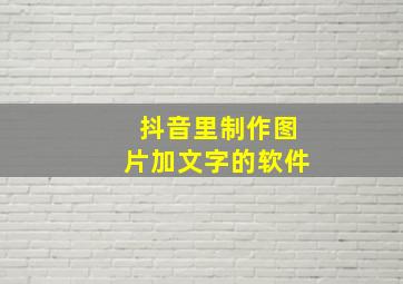 抖音里制作图片加文字的软件