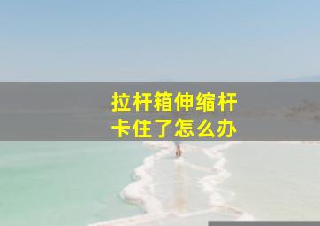 拉杆箱伸缩杆卡住了怎么办