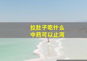 拉肚子吃什么中药可以止泻